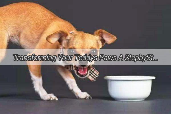 Transforming Your Teddys Paws A StepbyStep Guide to Grooming Your Canine Companions Cozy Coat